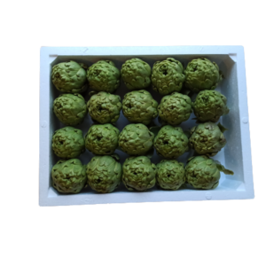 Alcachofica de Novillas